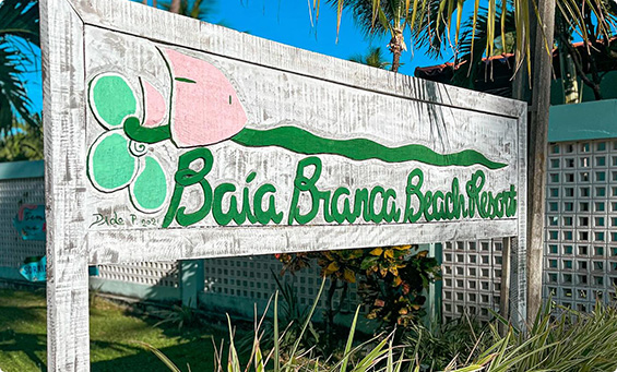 O Conceito - Baia Branca